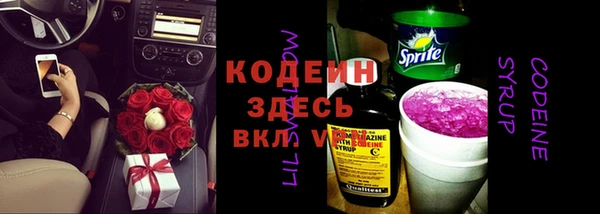 прущая мука Арсеньев