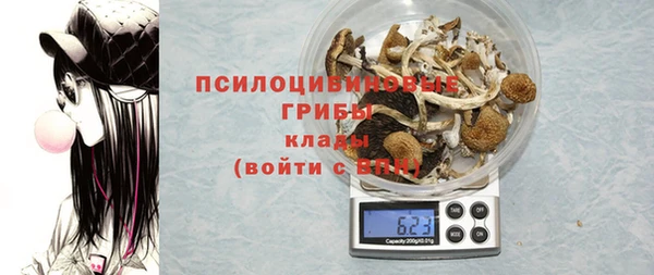 прущая мука Арсеньев