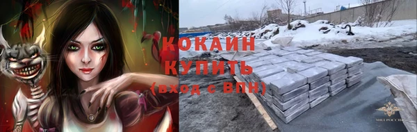 прущая мука Арсеньев
