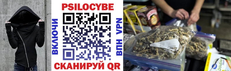 Псилоцибиновые грибы Psilocybe  Феодосия 